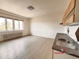 Pronájem bytu 3+kk, Hradec Králové - Pražské Předměstí, Břetislavova, 77 m2