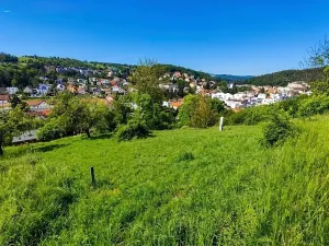 Prodej pozemku pro bydlení, Luhačovice, Branka, 1833 m2