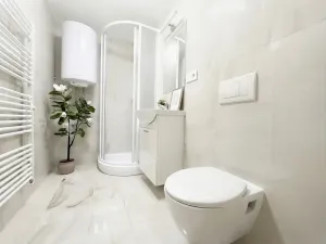 Prodej bytu 3+kk, Brno, Kovácká, 51 m2