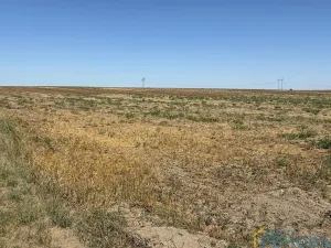 Prodej pozemku pro bydlení, Chroustovice, 8572 m2