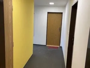 Pronájem bytu 2+1, Praha, Krupská, 70 m2