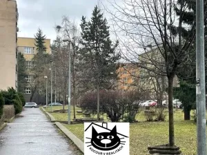 Pronájem bytu 2+1, Praha, Krupská, 70 m2