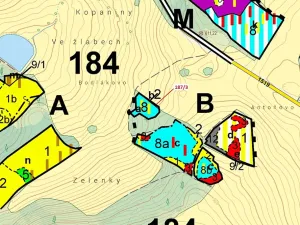 Dražba lesa, Volfířov, 80 m2