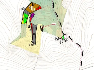 Dražba lesa, Bělá nad Svitavou, 212 m2