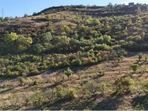 Prodej pole, Kamýk, 6102 m2