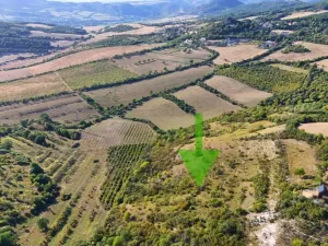 Prodej pole, Kamýk, 6102 m2