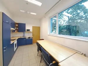 Pronájem obchodního prostoru, Tečovice, 890 m2