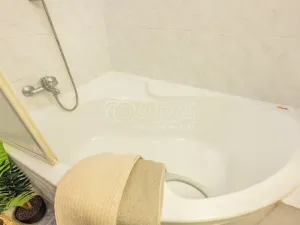 Prodej bytu 2+1, Praha - Vinohrady, Rumunská, 64 m2