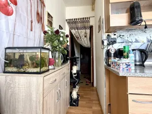 Prodej bytu 2+1, Toužim - Kosmová, 57 m2