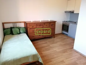 Pronájem bytu 1+kk, Brno - Staré Brno, Křížkovského, 26 m2