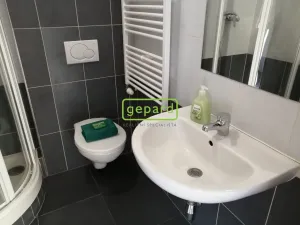 Pronájem bytu 1+kk, Brno - Staré Brno, Křížkovského, 26 m2