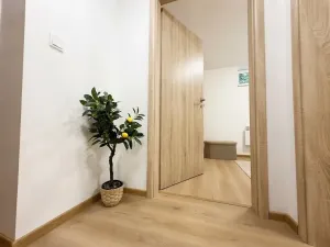 Prodej bytu 3+kk, Brno, Řehořova, 51 m2