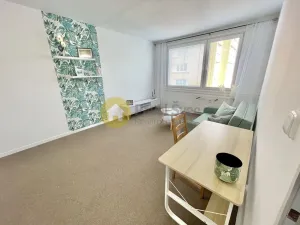 Pronájem bytu 1+1, Strakonice - Strakonice I, Mlýnská, 33 m2