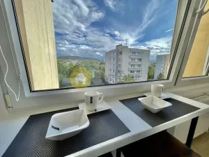 Pronájem bytu 1+1, Strakonice - Strakonice I, Mlýnská, 33 m2