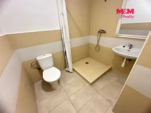 Pronájem bytu 1+kk, Mladá Boleslav - Mladá Boleslav II, 9. května, 16 m2