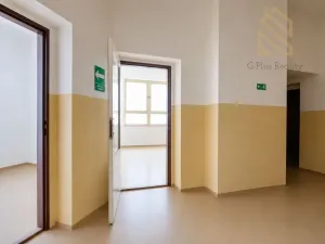Prodej obchodního prostoru, Děčín - Děčín VI-Letná, Dělnická, 203 m2