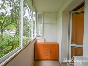 Pronájem bytu 2+1, Brno, Vondrákova, 50 m2