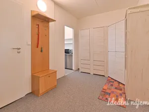 Pronájem bytu 2+1, Brno, Vondrákova, 50 m2