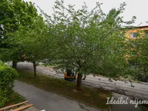 Pronájem bytu 2+1, Brno, Vondrákova, 50 m2
