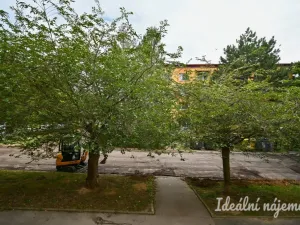 Pronájem bytu 2+1, Brno, Vondrákova, 50 m2