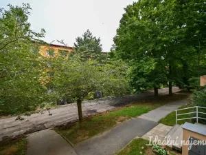 Pronájem bytu 2+1, Brno, Vondrákova, 50 m2