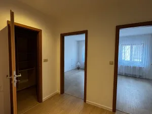 Pronájem bytu 4+kk, Opava, Sadová, 110 m2