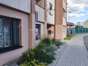 Pronájem bytu 1+1, Klatovy, Na Bělidle, 44 m2