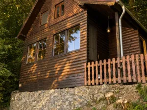 Prodej chaty, Kladruby - Hřešihlavy, 43 m2