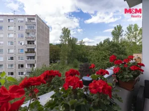 Prodej bytu 3+1, Chodov, Husova, 68 m2