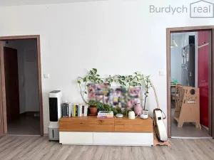 Pronájem bytu 2+1, Brno, Ptašínského, 57 m2