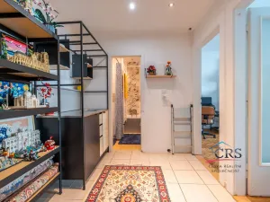 Prodej bytu 2+kk, Praha - Nusle, Družstevní, 44 m2