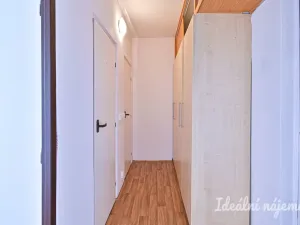 Pronájem bytu 1+1, Brno, Ibsenova, 35 m2