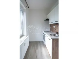 Pronájem bytu 1+1, Mělník, Čechova, 35 m2