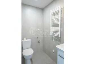 Pronájem bytu 1+1, Mělník, Čechova, 35 m2