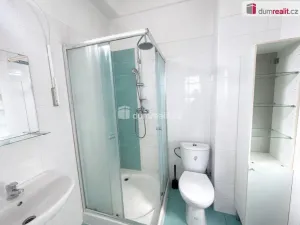 Pronájem bytu 4+kk, Chlumec, Holubova, 100 m2