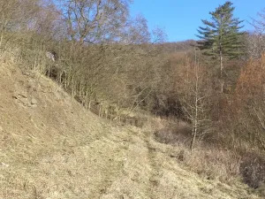 Dražba zahrady, Trmice, 640 m2