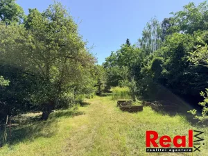 Prodej zahrady, Brno - Holásky, 2459 m2