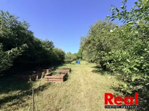 Prodej zahrady, Brno - Holásky, 2459 m2