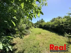 Prodej zahrady, Brno - Holásky, 2459 m2