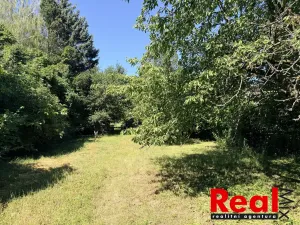 Prodej zahrady, Brno - Holásky, 2459 m2