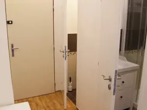 Pronájem bytu 2+1, Týnec nad Sázavou, Družstevní, 50 m2