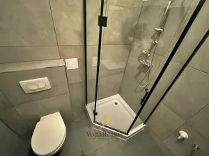 Pronájem bytu 1+1, Olomouc - Bělidla, Libušina, 38 m2