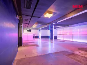 Pronájem obchodního prostoru, Drslavice, 365 m2