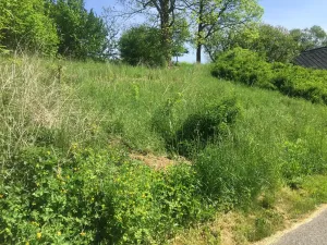 Prodej zahrady, Slatina nad Úpou, 575 m2