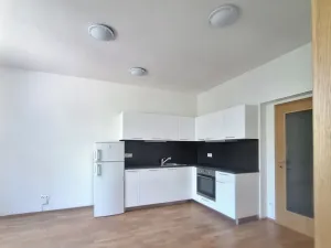 Pronájem bytu 2+kk, Praha - Nusle, Jaurisova, 40 m2