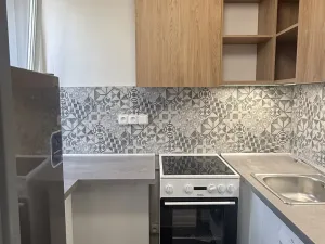 Pronájem bytu 1+kk, Brno - Štýřice, Vídeňská, 27 m2