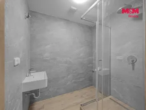 Prodej bytu 2+1, Kolín - Kolín III, Žižkova, 62 m2