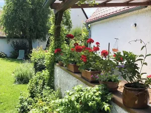 Prodej rodinného domu, Stvolínky, 165 m2
