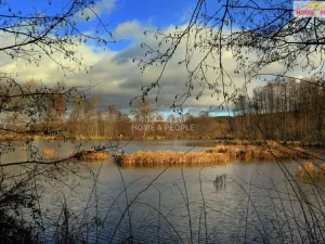 Pronájem bytu 1+kk, Lochovice - Obora, 38 m2
