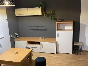Pronájem bytu 1+1, Prostějov, 49 m2